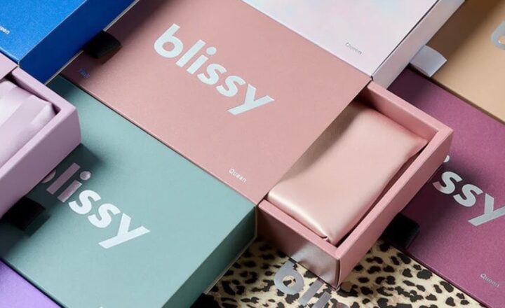 Blissy Silk Pillow Covers Reviews — editorial featured image