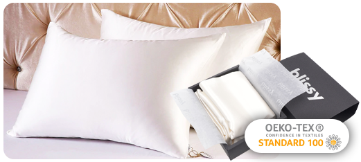 Blissy Silk Pillow Covers Review — editorial featured image